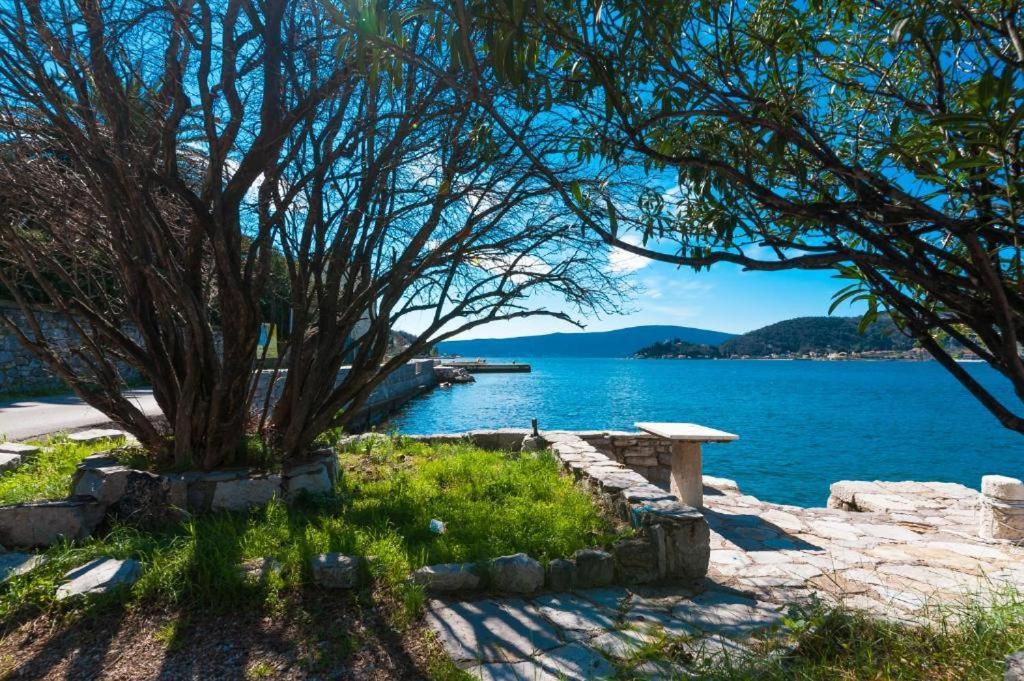 Apartmani Vesna Tivat Exterior foto